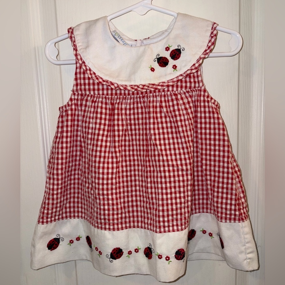 Girls Red Gingham Dress with Ladybug Embroidery